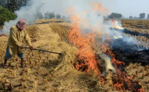 Stubble burning in north India is a key factor behind the dip in Delhi's वायु quality (photo- NDTV)